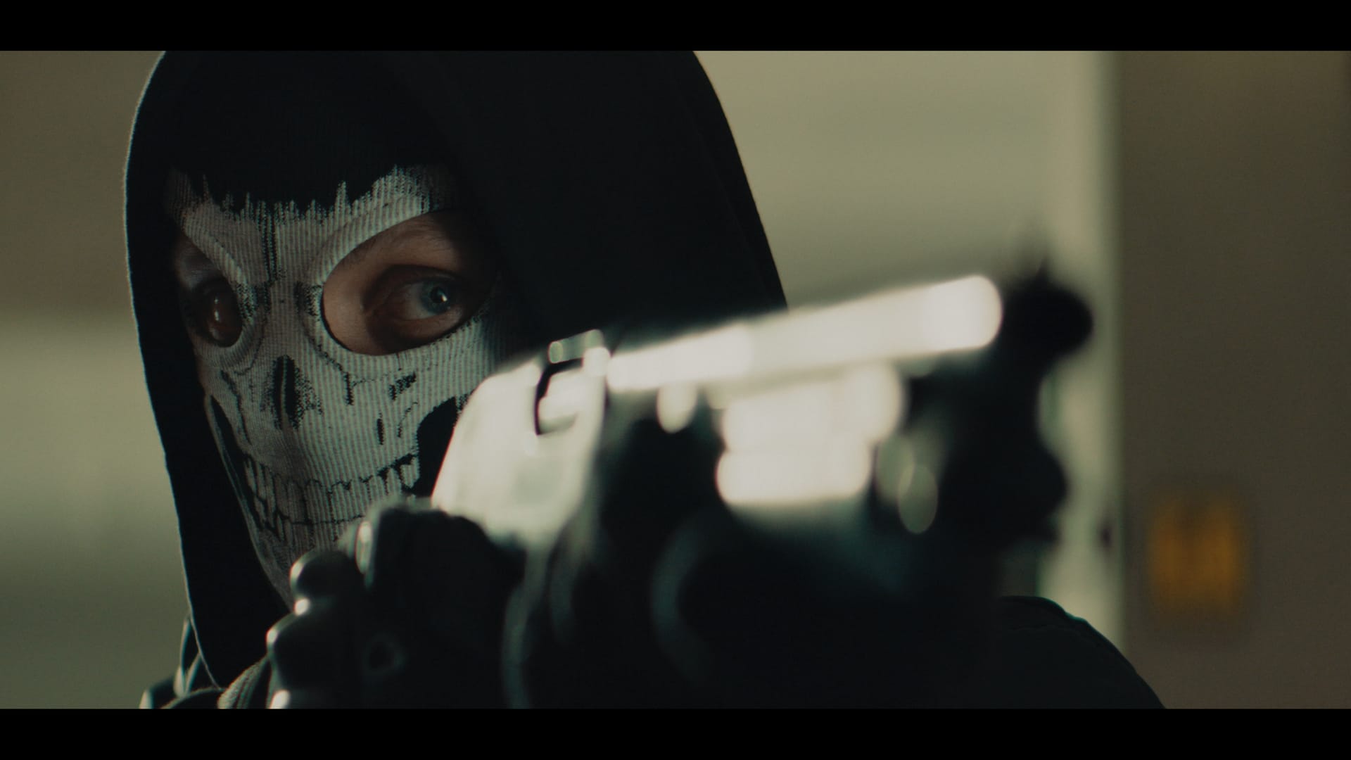 Imaginatic - Hammerhead